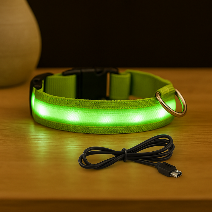 Light Up Glow Dog Collar - USB Rechargeable