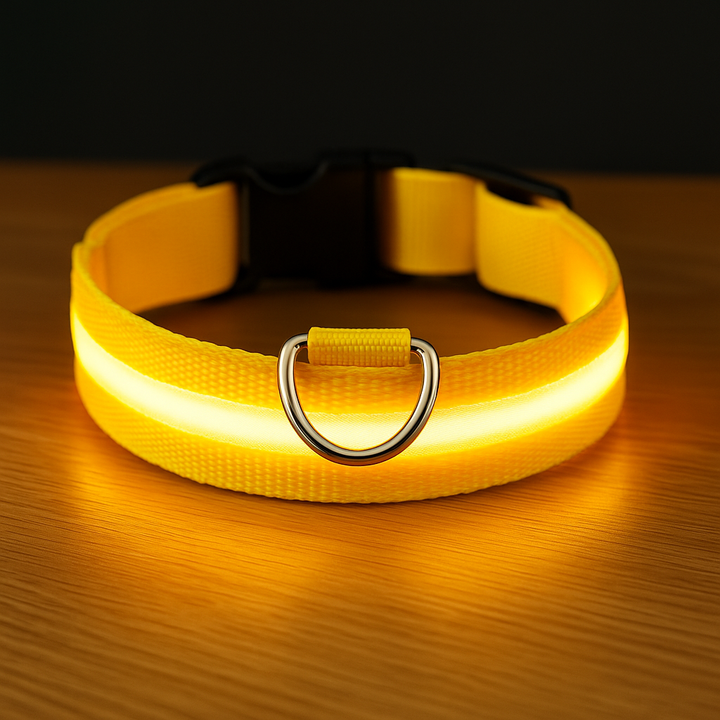 Light Up Glow Dog Collar - USB Rechargeable