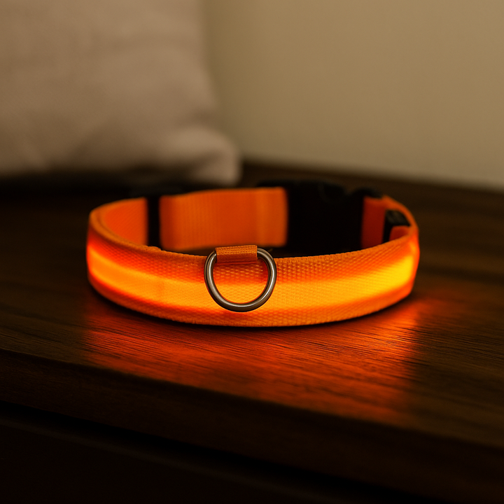 Light Up Glow Dog Collar - USB Rechargeable