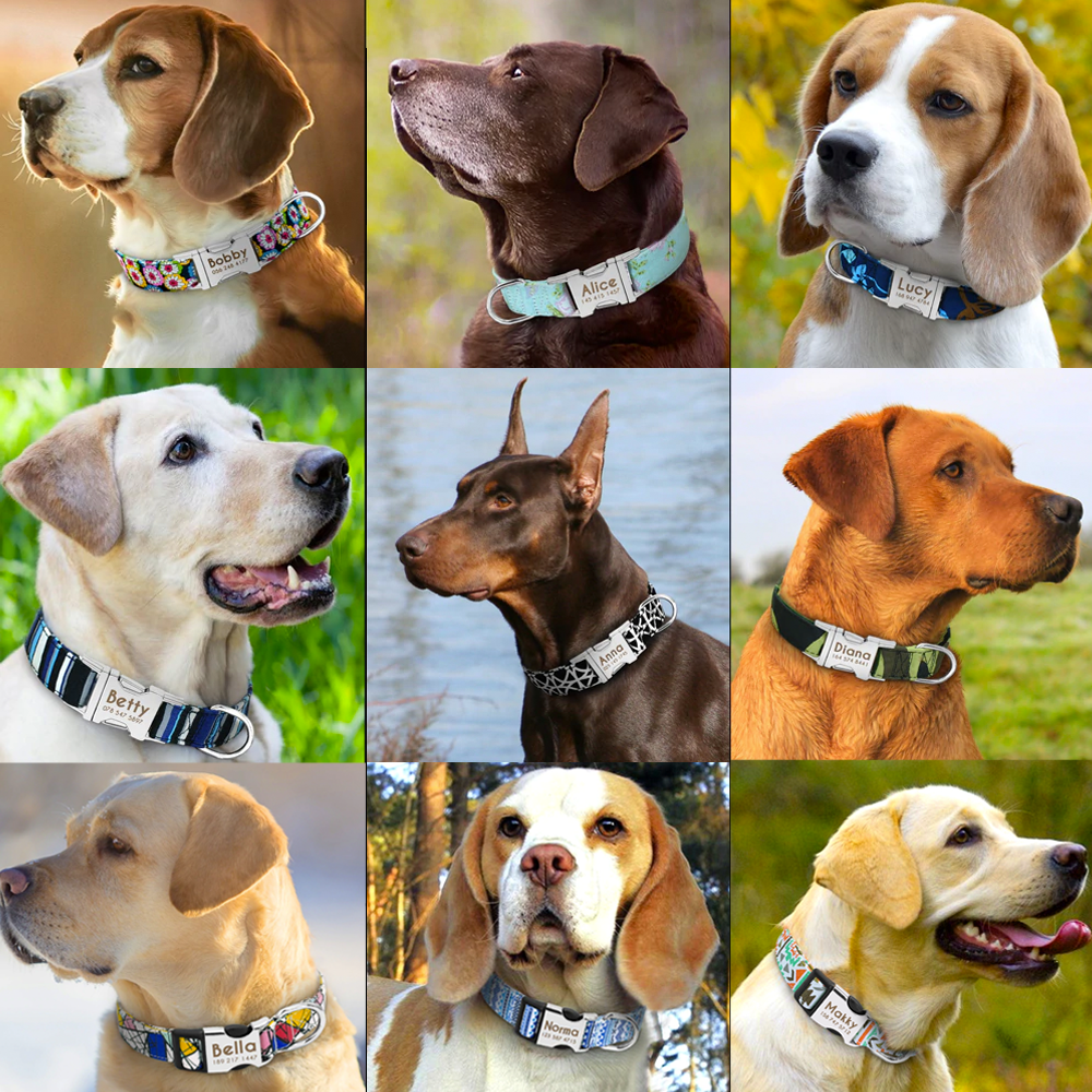 Collar For A Cause Free Engraving