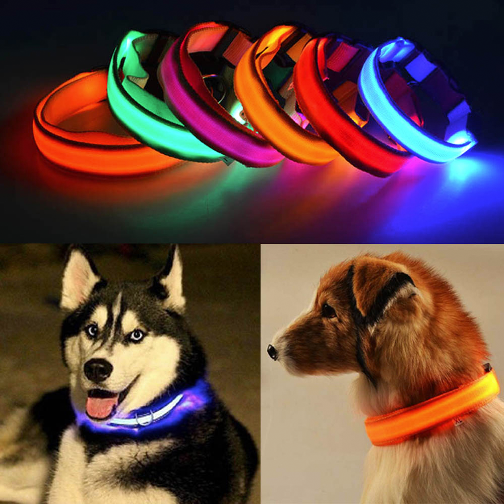 Flashing lights for dog collars best sale