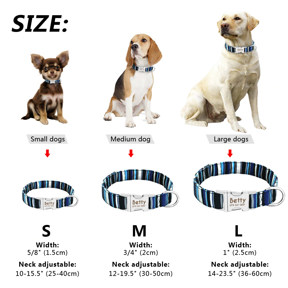 Blue Striped Personalised Pet Collar