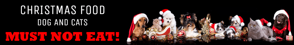 Christmas Food Dogs And Cats Must Not Eat! - Help For Paws