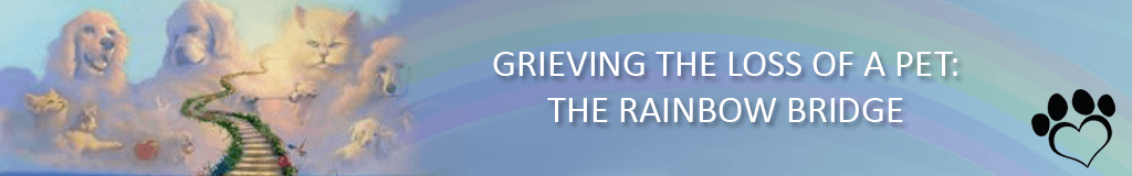 Grieving the Loss of a Pet: The Rainbow Bridge - Help For Paws