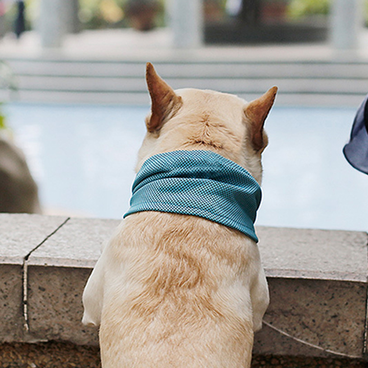 Pet Cooling Down Bandana