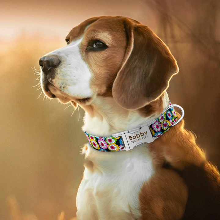 Colourful Flowers Personalised Pet Collar