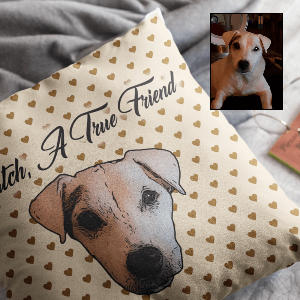 Custom Oil Painting Cushion Of Your Pet