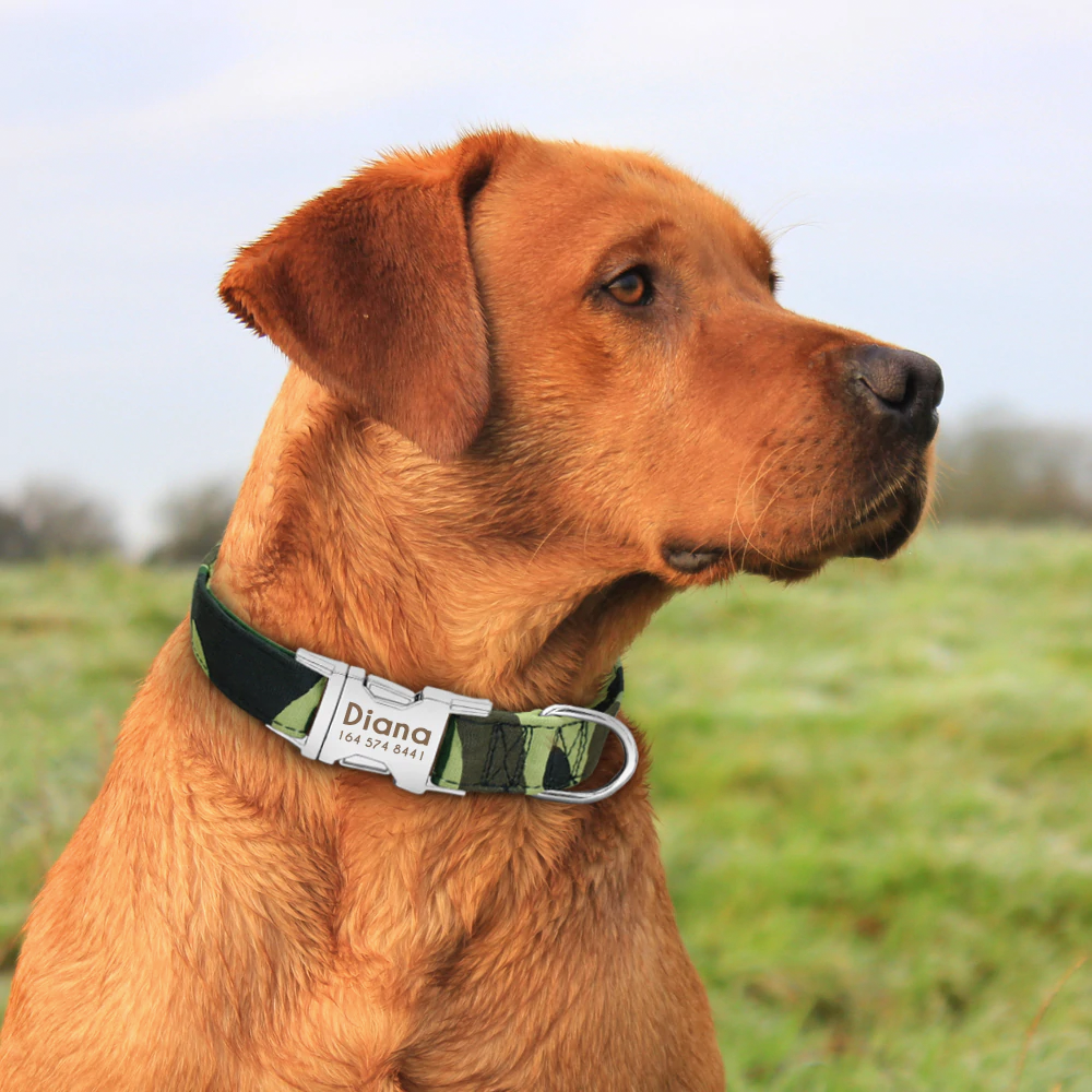 Camouflage Personalised Pet Collar