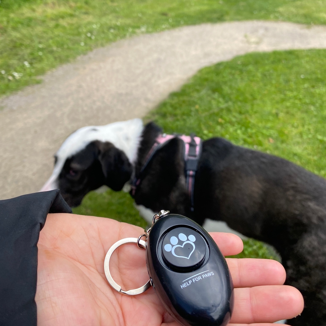 Dog Walking Security Alarm