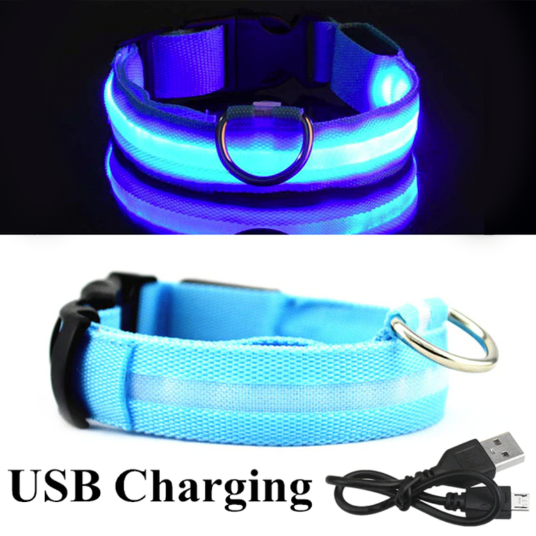 LED Glow Pet Collar - USB Rechargeable