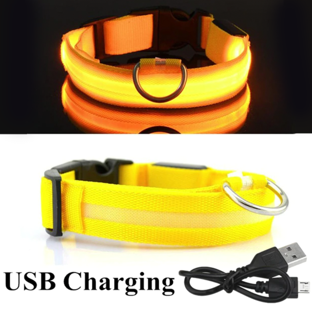 LED Glow Pet Collar - USB Rechargeable