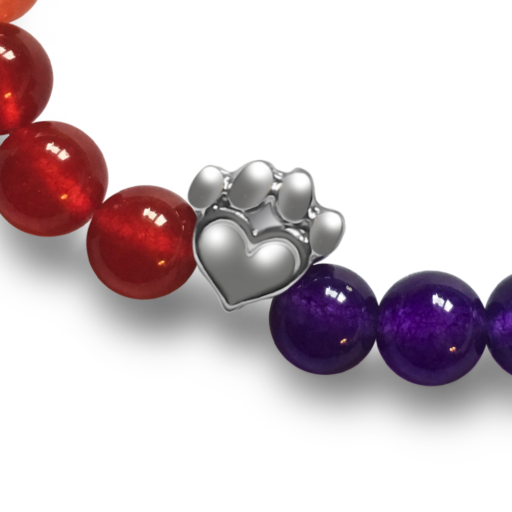 Help For Paws Rainbow Bridge Memory Bracelet